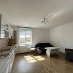 Rent 1 bedroom apartment in Duchcov