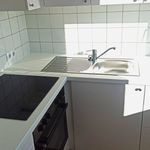 Rent 2 bedroom apartment of 50 m² in Traiskirchen