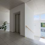 Rent 1 bedroom apartment of 30 m² in Pilsen