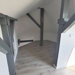 Rent 2 bedroom apartment of 50 m² in Haguenau