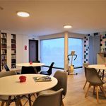 Appartement de 56 m² avec 1 chambre(s) en location à Kruibeke