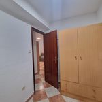 Rent 1 bedroom apartment of 56 m² in mairena del aljarafe