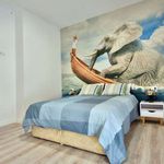 Rent a room in Carlet