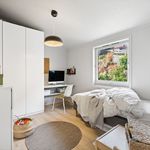 Rent 1 bedroom house of 193 m² in Bergen