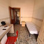 Rent 3 bedroom apartment of 80 m² in Catanzaro