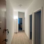 Rent 3 bedroom apartment of 74 m² in Biella