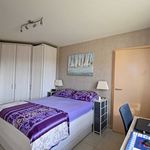 Rent 1 bedroom apartment in Zele