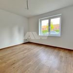 Rent 3 bedroom apartment of 80 m² in Rechtsupweg