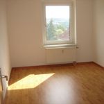 Rent 3 bedroom apartment of 55 m² in Plauen