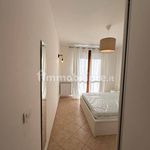 Rent 2 bedroom apartment of 50 m² in Orbetello