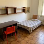 Affitto 3 camera appartamento in Pisa