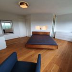 Rent 1 bedroom apartment of 115 m² in Amsterdam