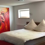 Rent 1 bedroom apartment of 80 m² in Friedrichshafen
