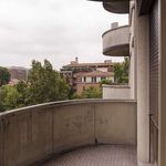 Rent a room of 180 m² in Bologna