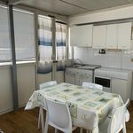 Affitto 1 camera appartamento di 40 m² in Nettuno
