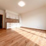 Rent 2 bedroom apartment of 56 m² in Brno