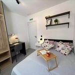 Rent 4 bedroom apartment in La Parra
