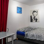 Miete 1 Schlafzimmer wohnung von 19 m² in Mainz