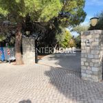 Rent 1 bedroom house of 20000 m² in Περαία