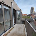 Rent 1 bedroom apartment of 65 m² in Brielle