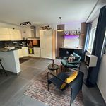 Rent 1 bedroom apartment of 70 m² in Wiesbaden