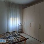 Rent 3 bedroom apartment of 94 m² in Bologna