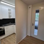 Rent 1 bedroom apartment of 30 m² in Schaffhausen