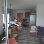 Rent 2 bedroom apartment of 90 m² in Markopoulo Mesogaias