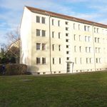 Rent 2 bedroom apartment of 47 m² in Weißenfels