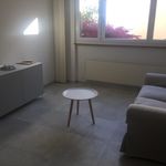 Rent 2 bedroom apartment in Neuchâtel