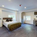 Rent 1 bedroom apartment in   Nottingham