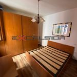 Rent 1 bedroom apartment of 55 m² in Adria