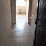 Rent 3 bedroom apartment of 120 m² in Fatih