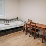 Rent 1 bedroom apartment of 21 m² in Potštát