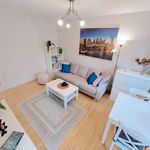 Rent 1 bedroom apartment in Lodz