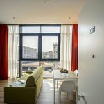 Rent 1 bedroom apartment of 45 m² in Venezia