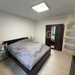 Rent 1 bedroom house of 250 m² in Frýdek-Místek