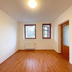 Rent 1 bedroom house of 380 m² in Praha