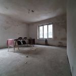 Rent 1 bedroom house of 500 m² in Warszawa