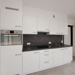Rent 1 bedroom apartment in Maasmechelen