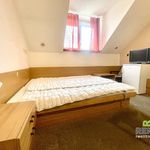 Rent 1 bedroom apartment of 22 m² in Kunovice