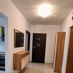 Rent 2 bedroom apartment of 54 m² in Lublin
