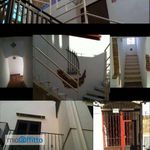 Rent 2 bedroom apartment of 50 m² in Palermo