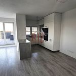 Rent 3 bedroom apartment of 85 m² in Číhošť