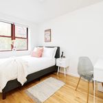 Rent 20 bedroom apartment in New York