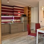 Rent 1 bedroom apartment of 55 m² in krakow