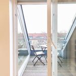 Rent 1 bedroom apartment of 55 m² in berlin