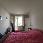 Rent 1 bedroom apartment of 50 m² in Profondeville