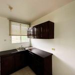 Rent 1 bedroom apartment of 400 m² in Kingston