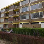 Huur 3 slaapkamer appartement van 70 m² in Groningen